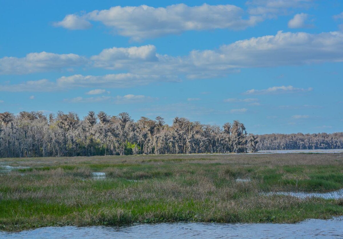 The Middle of Florida: Things To Do in Clermont, FL